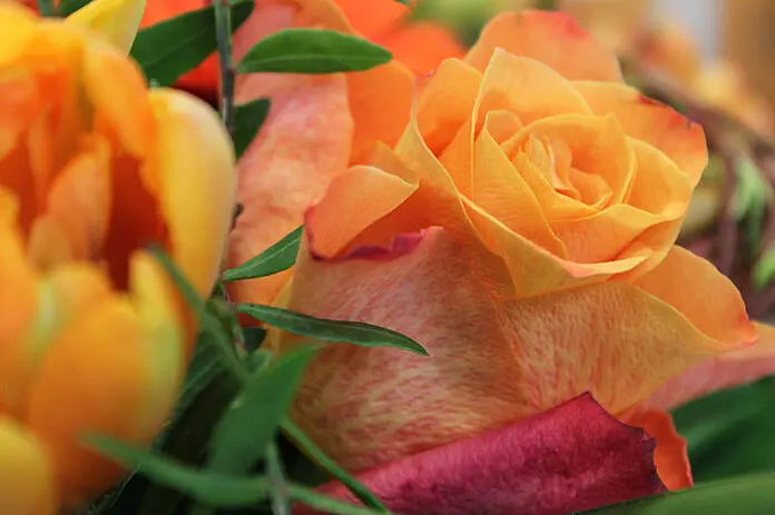 Orangene Blumen.